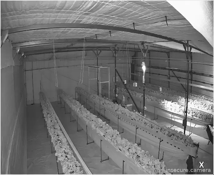 Camera in South Korea