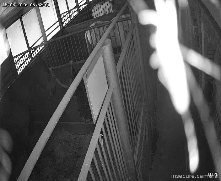 Capture from Mar 19, 2026 at 04:52 AM