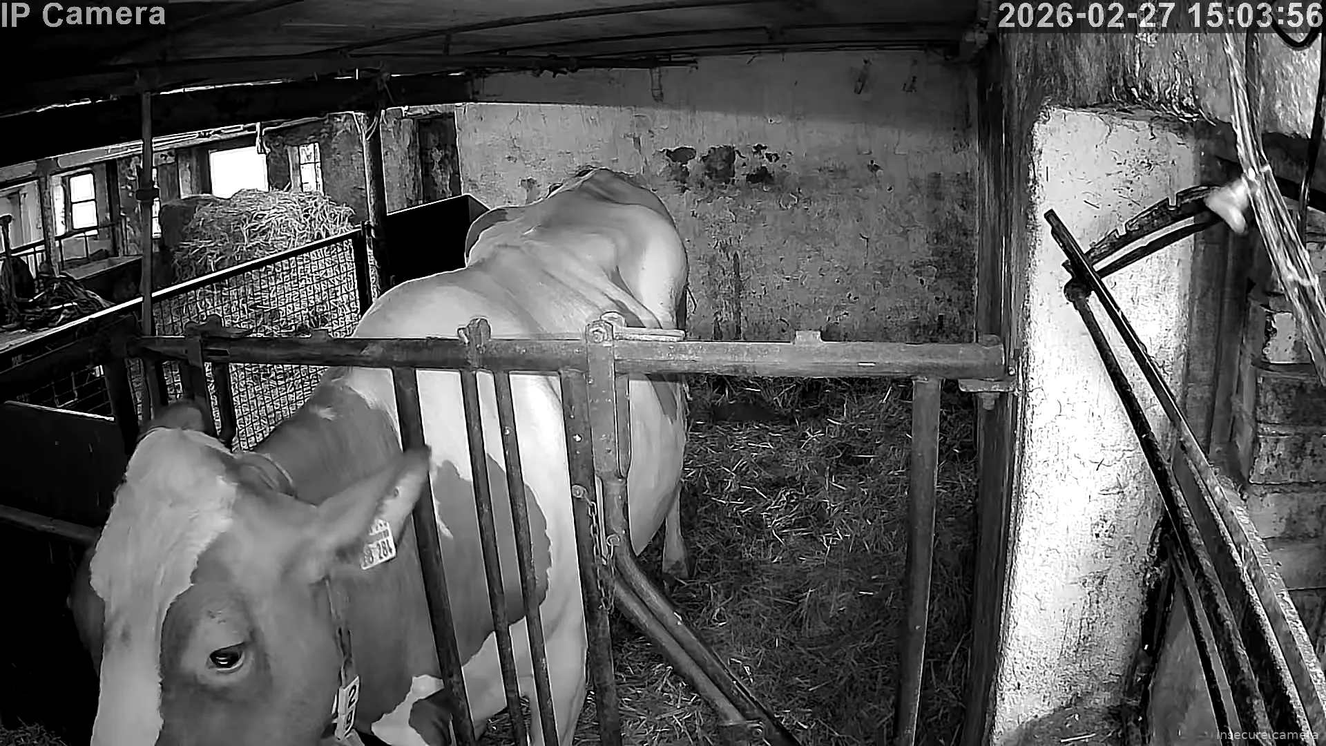 Capture from Feb 27, 2026 at 07:04 AM