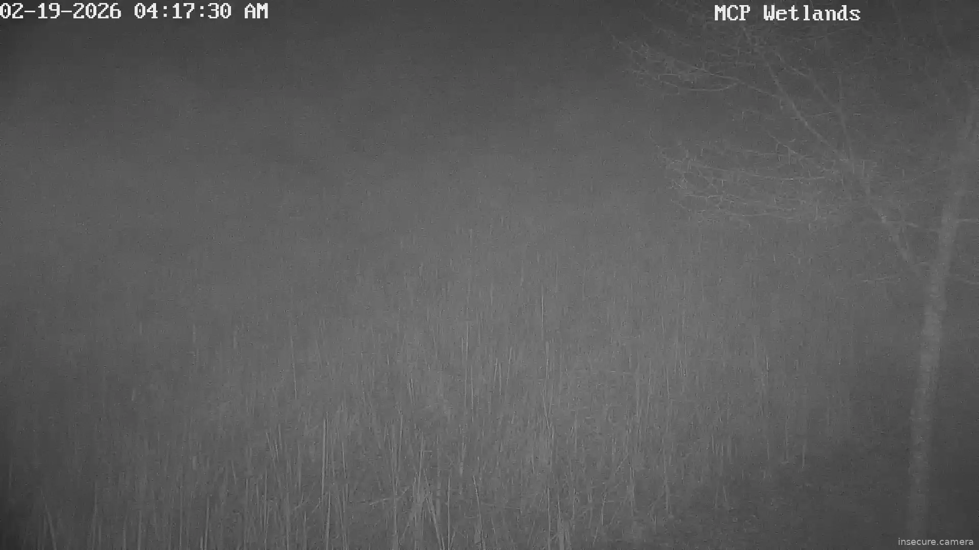 Capture from Feb 19, 2026 at 07:47 AM