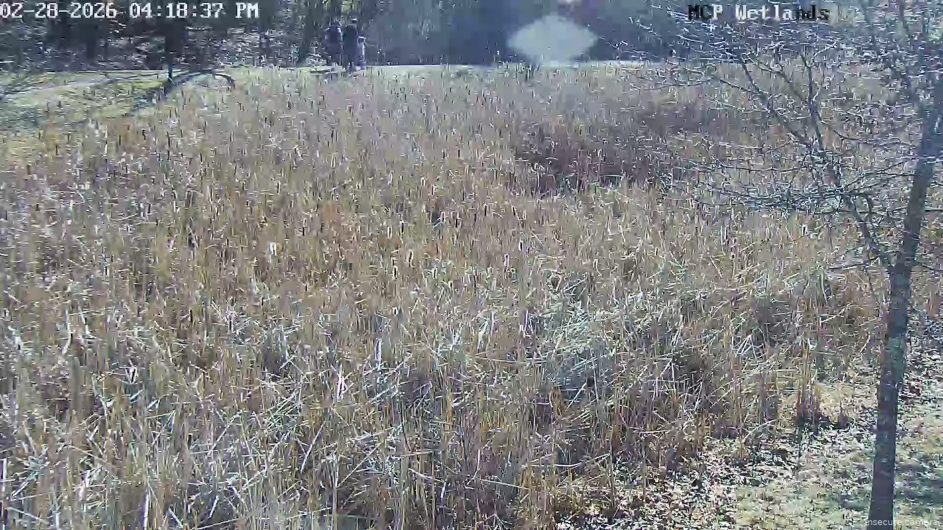 Capture from Feb 28, 2026 at 07:48 PM