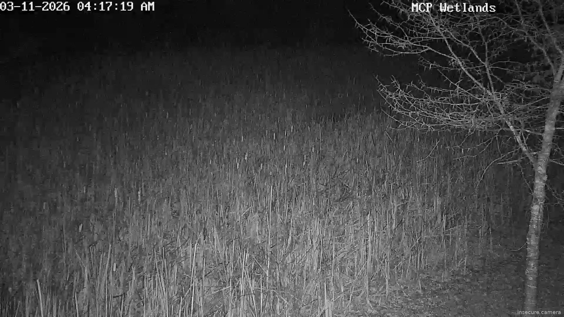 Camera in United States