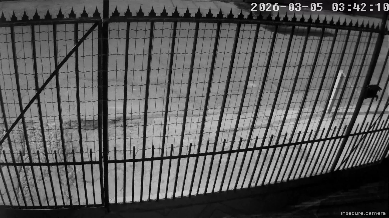 Capture from Mar 05, 2026 at 06:42 AM