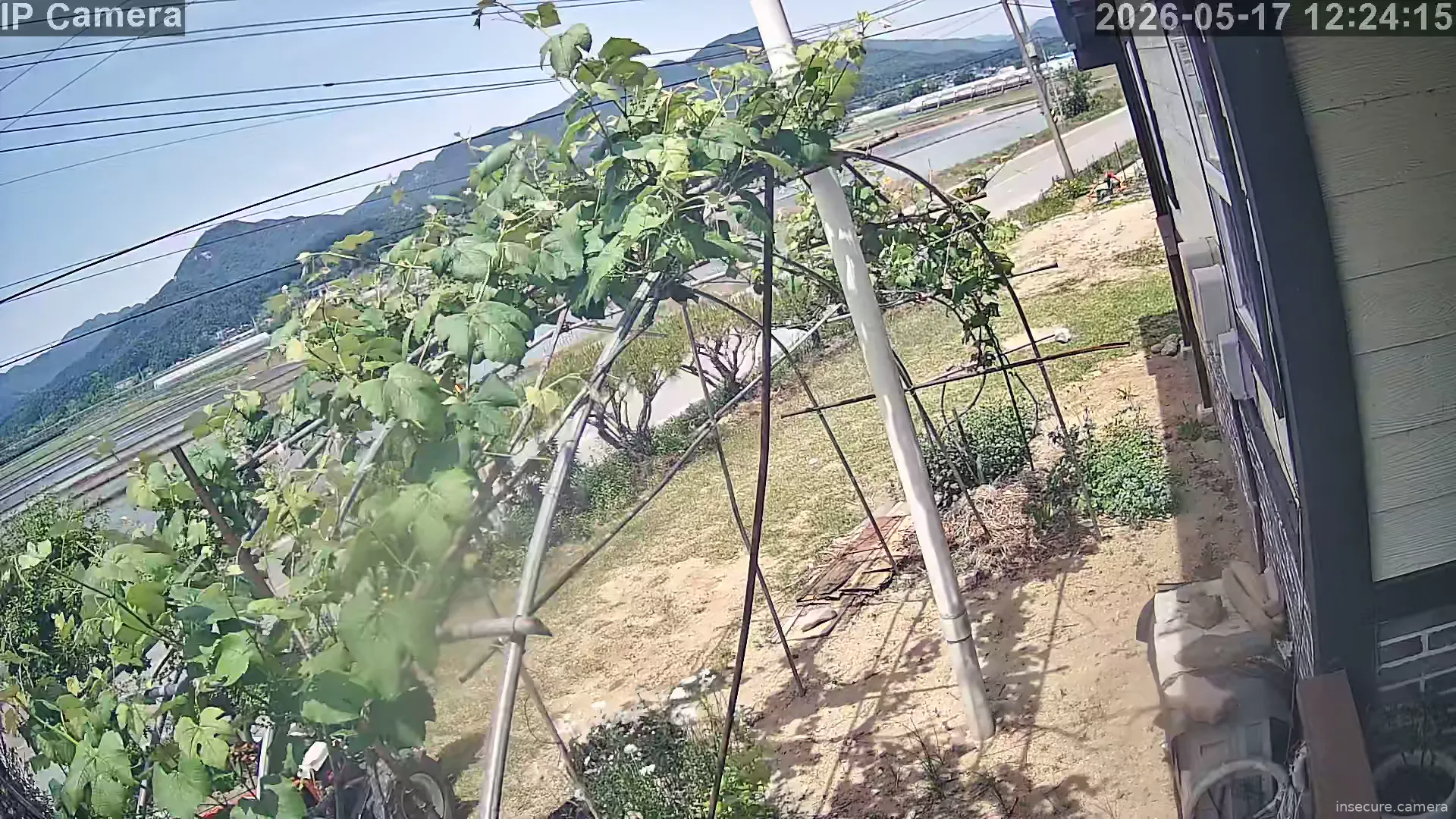 Camera in South Korea