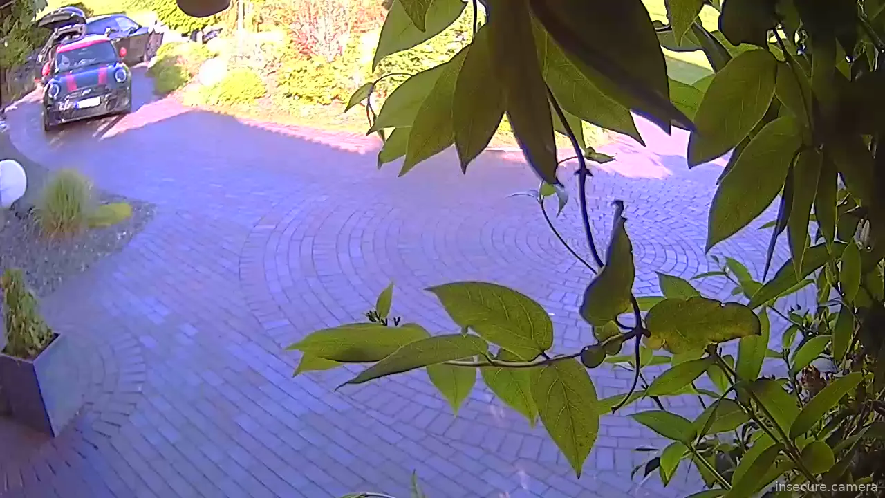 Camera in Germany
