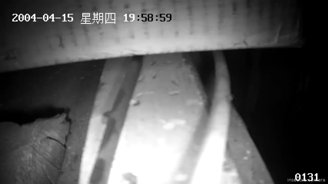 Capture from May 10, 2026 at 09:46 PM