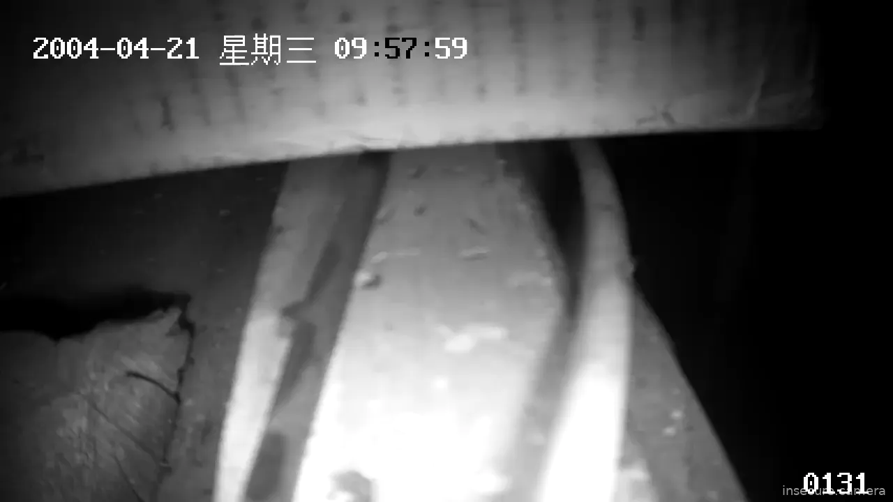 Capture from May 16, 2026 at 11:46 AM