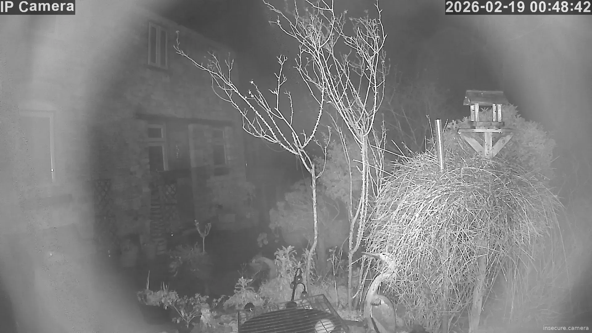 Capture from Feb 19, 2026 at 12:49 AM