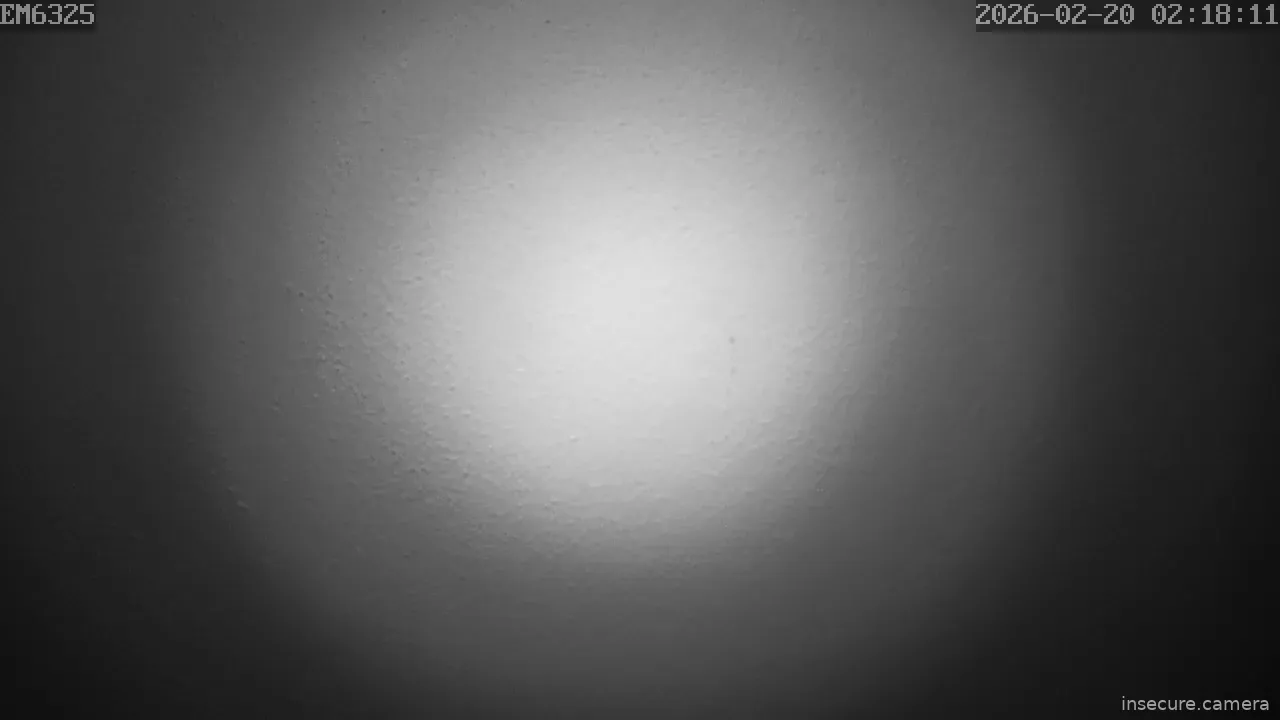 Capture from Feb 20, 2026 at 01:19 AM