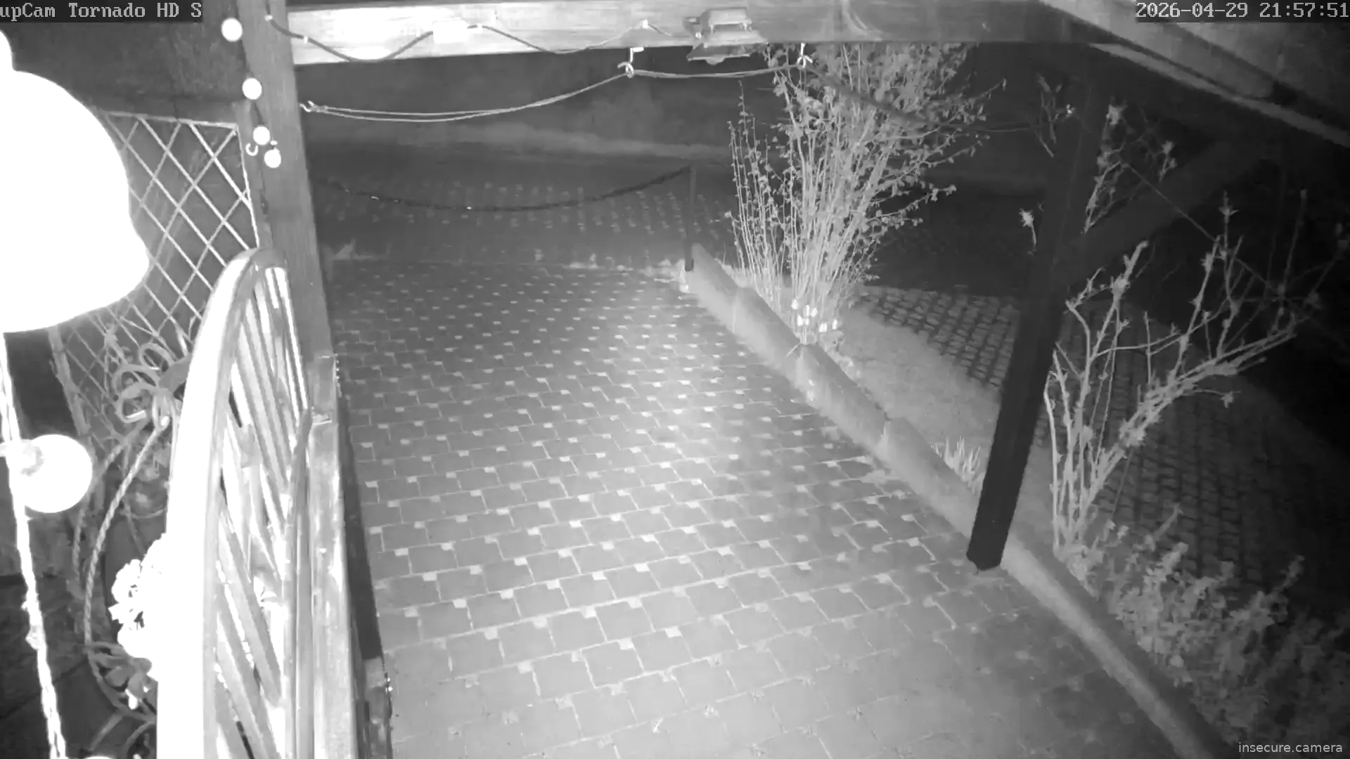 Camera in Germany