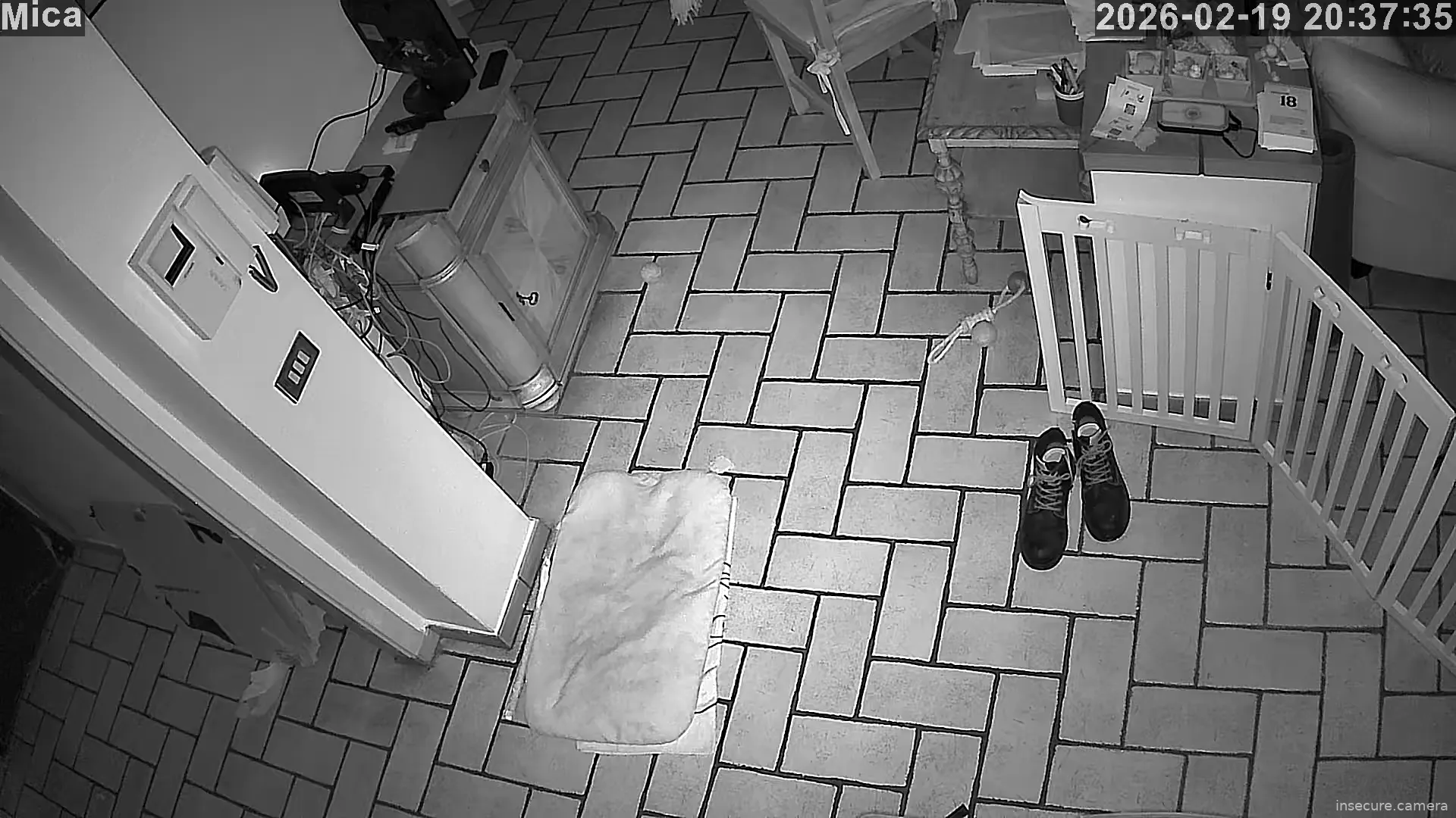 Capture from Feb 19, 2026 at 06:37 PM