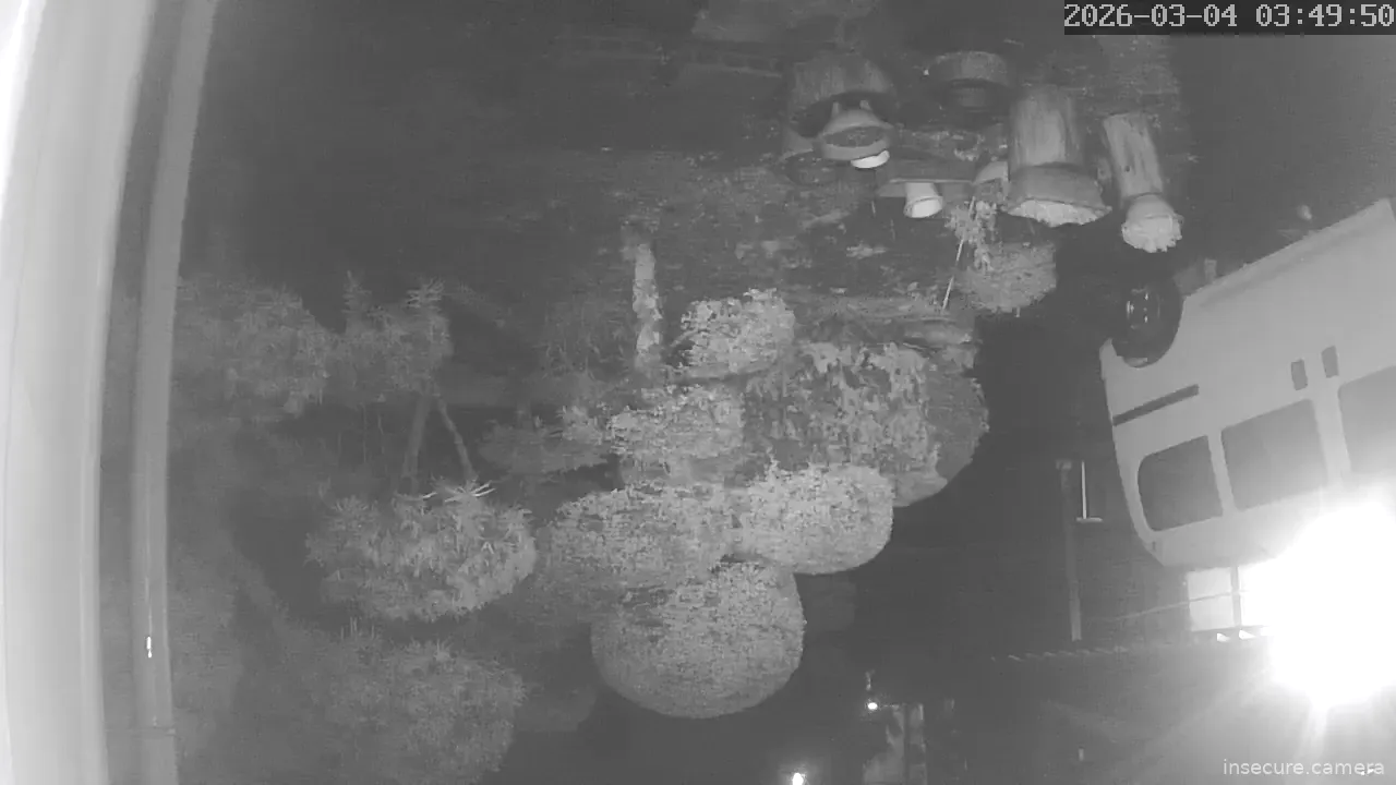 Capture from Mar 03, 2026 at 07:50 PM