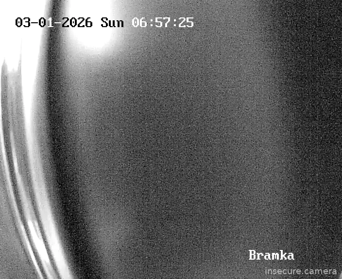 Capture from Mar 01, 2026 at 05:43 AM