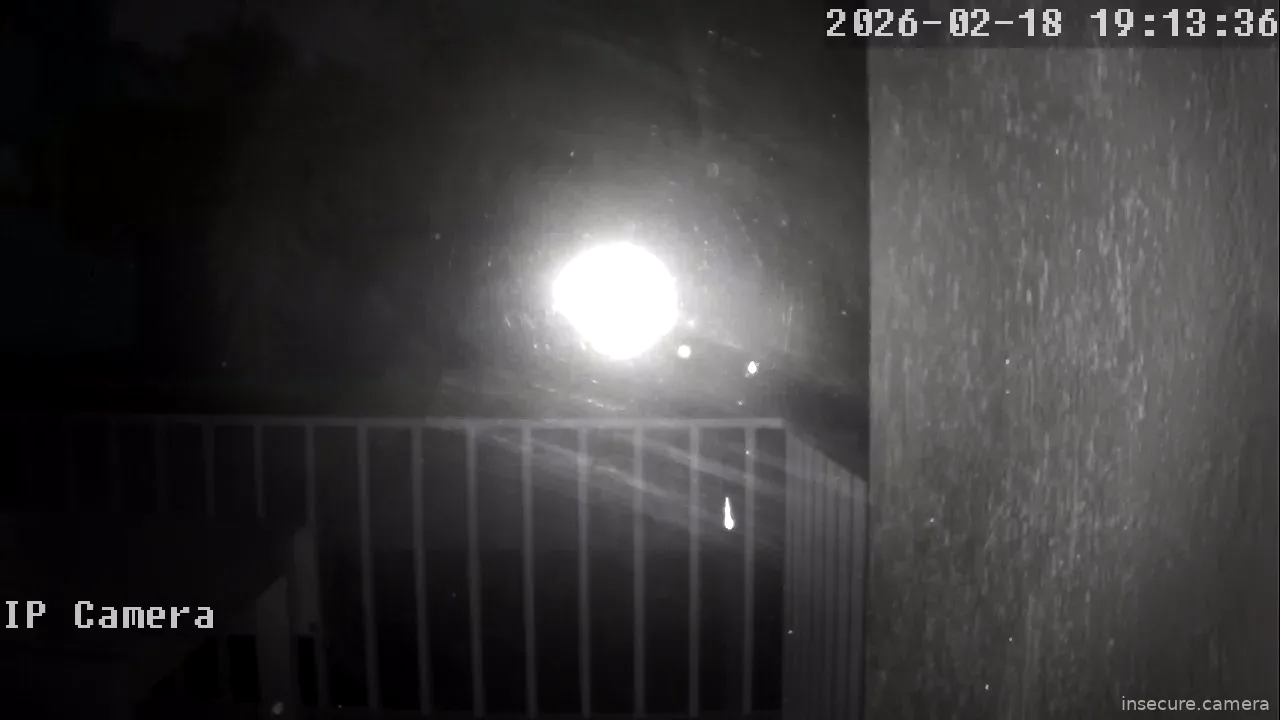 Capture from Feb 19, 2026 at 01:13 AM