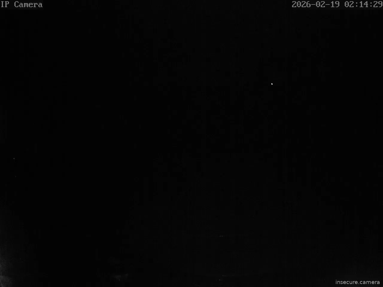 Capture from Feb 19, 2026 at 01:14 AM