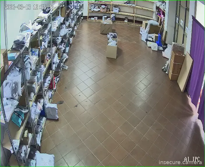Camera in Russia