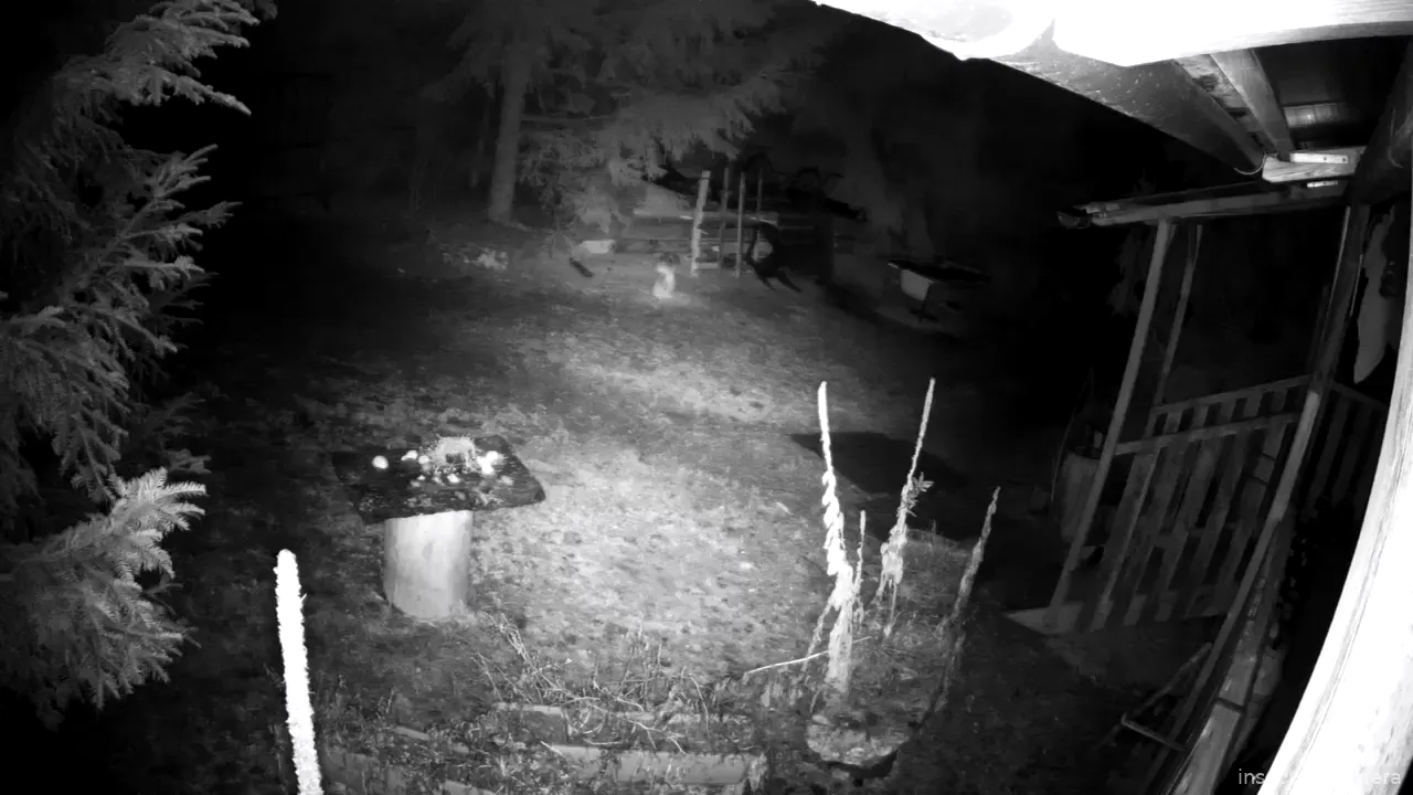 Capture from Feb 23, 2026 at 12:23 AM