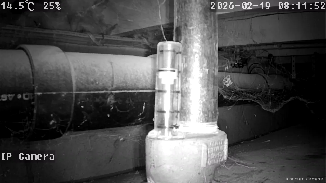 Capture from Feb 19, 2026 at 12:12 AM