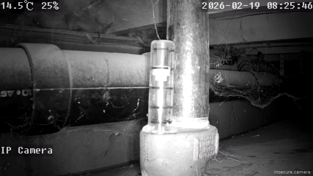 Capture from Feb 19, 2026 at 12:26 AM