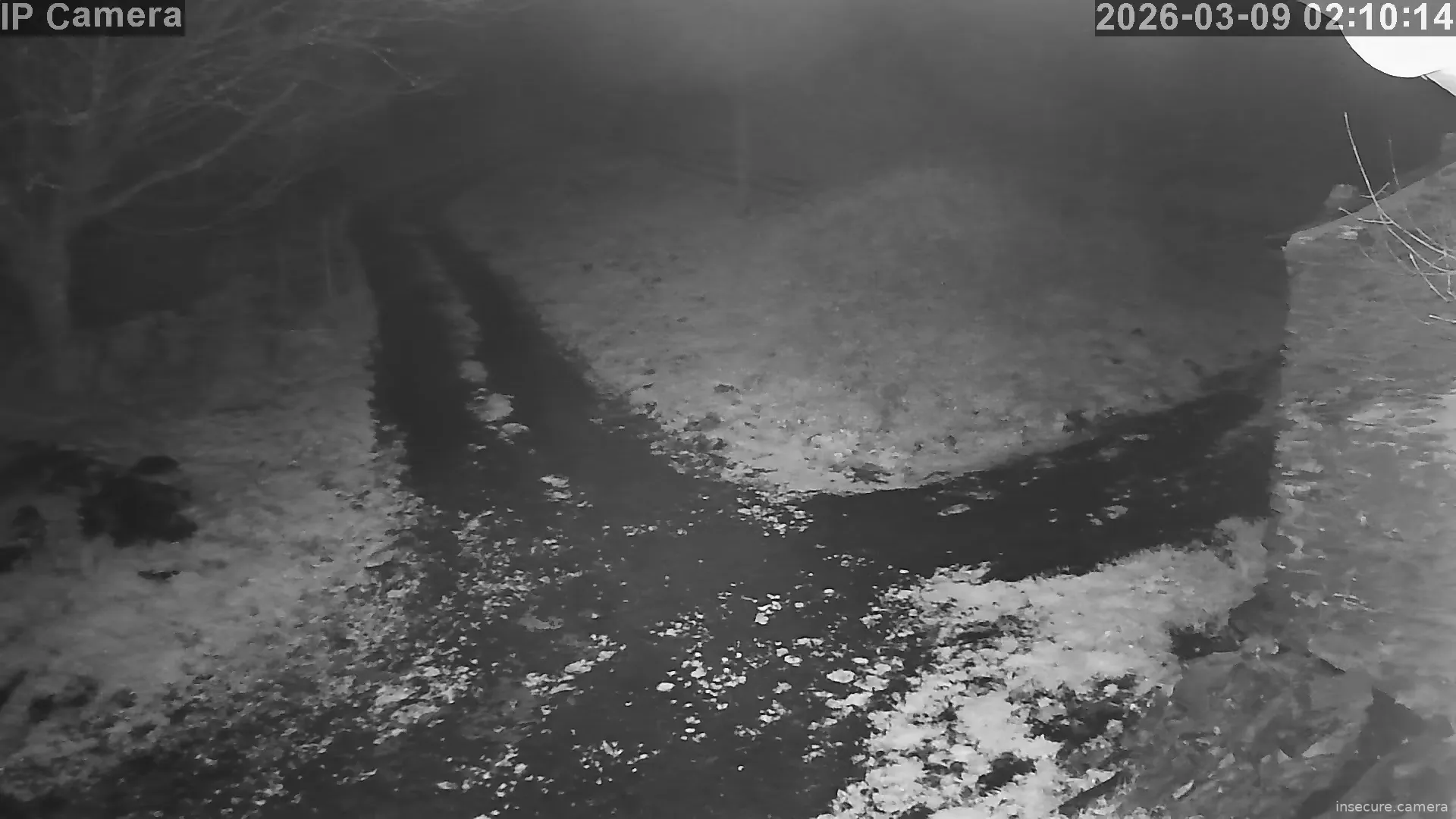 Capture from Mar 09, 2026 at 01:10 AM