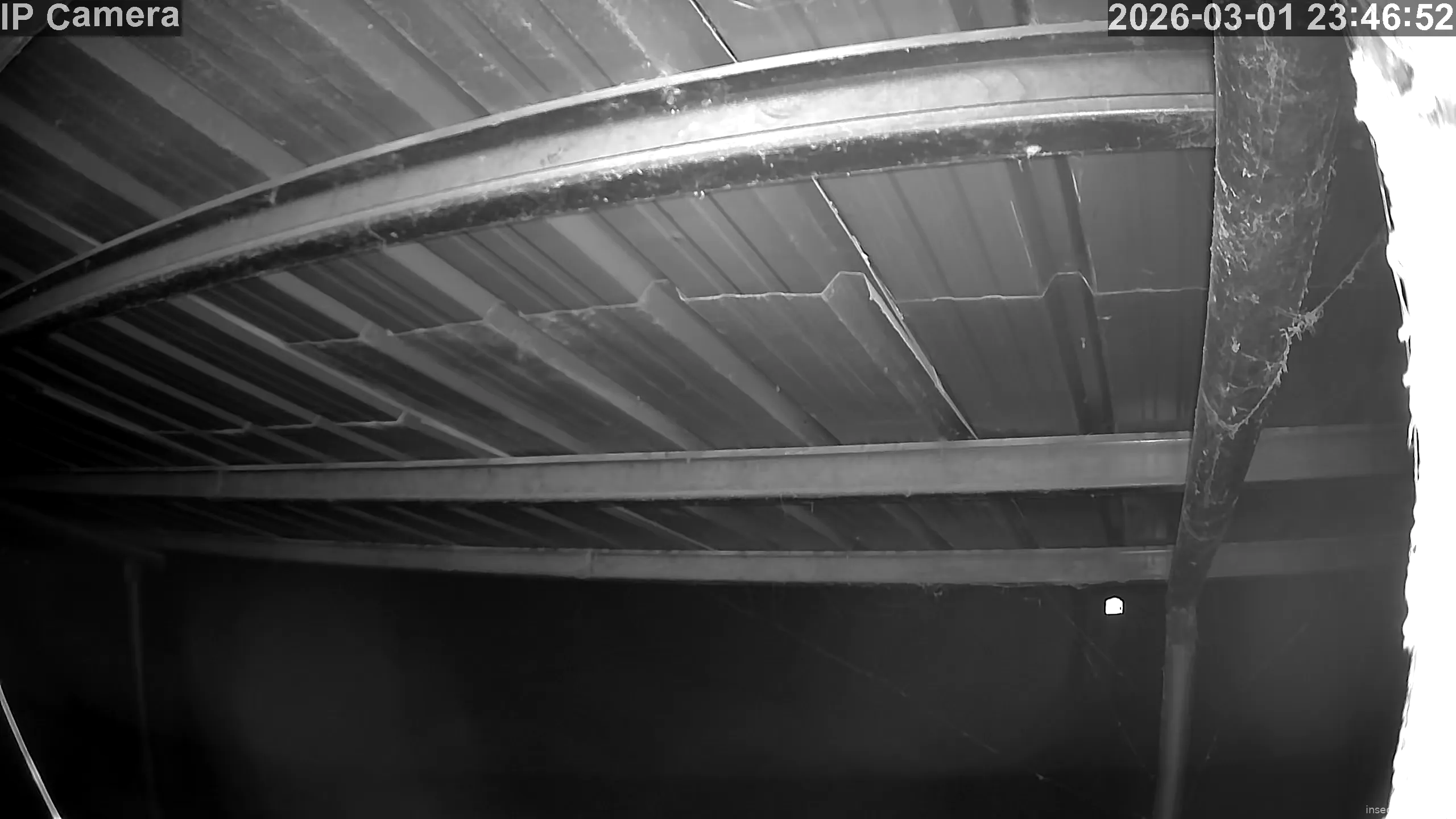 Capture from Mar 01, 2026 at 03:47 PM