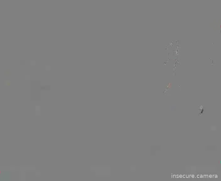 Capture from May 07, 2026 at 04:29 AM