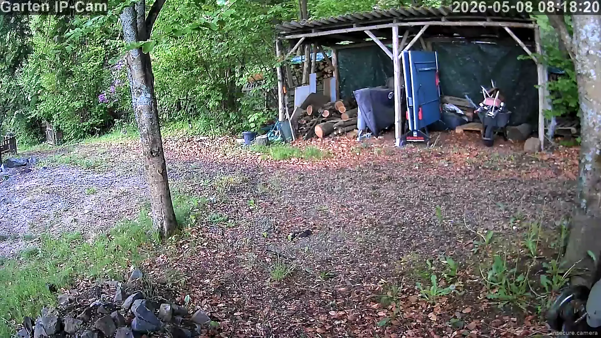 Camera in Germany