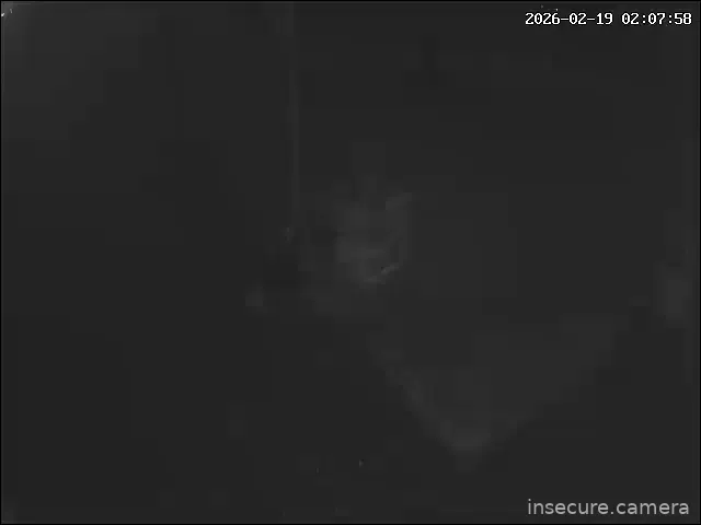 Capture from Feb 19, 2026 at 01:08 AM