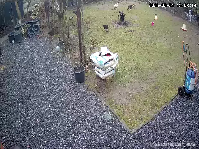 Capture from Feb 21, 2026 at 02:02 PM