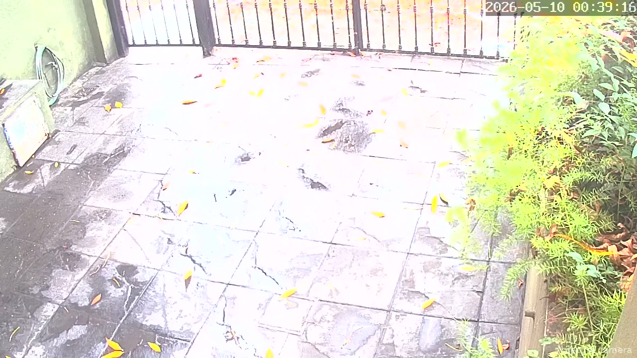 Camera in Argentina