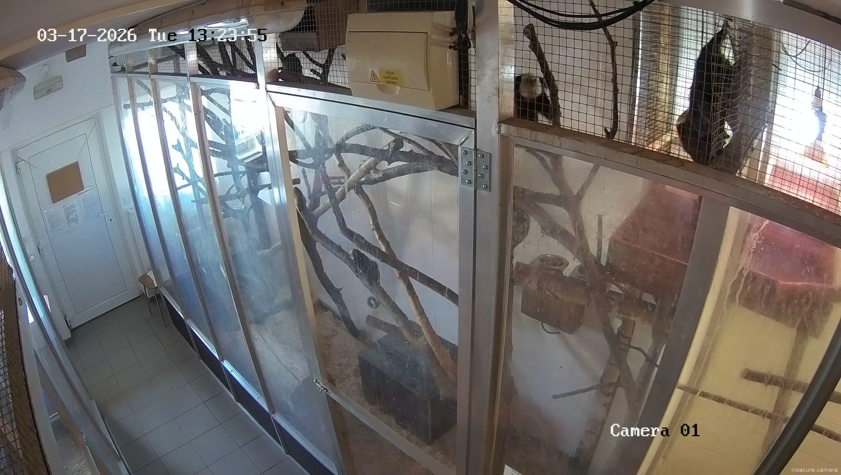 Capture from Mar 17, 2026 at 12:24 PM