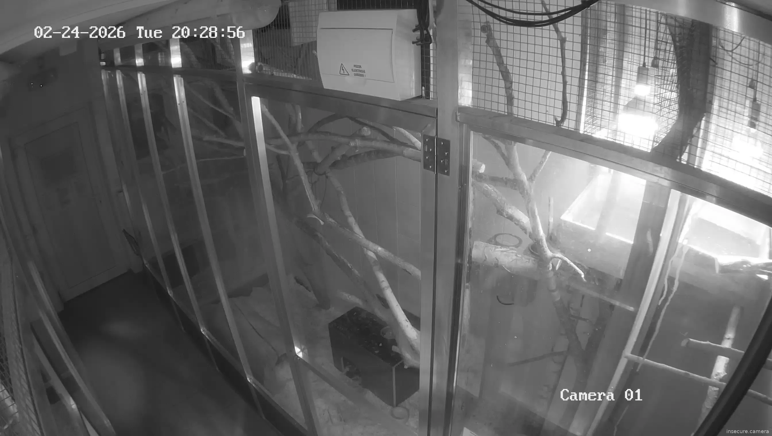 Capture from Feb 24, 2026 at 07:29 PM