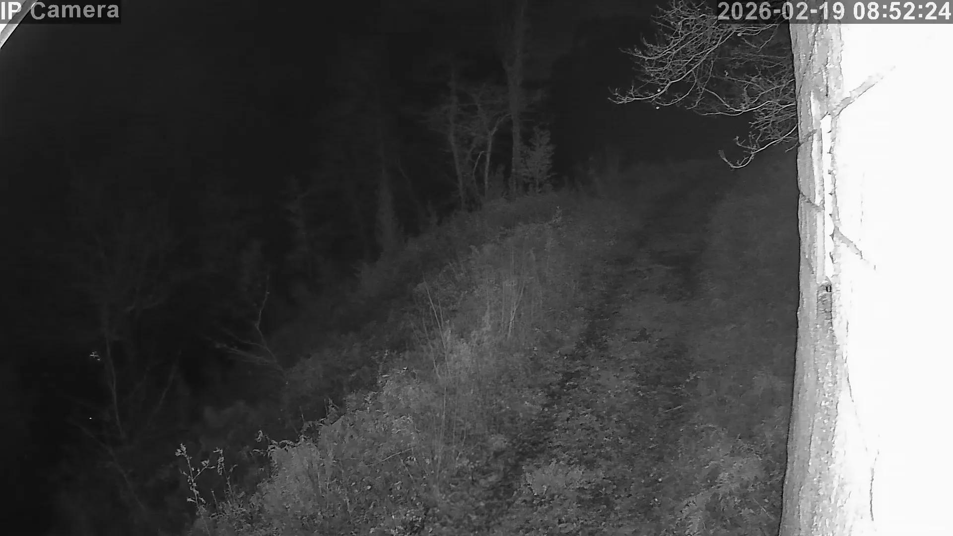 Capture from Feb 19, 2026 at 12:52 AM