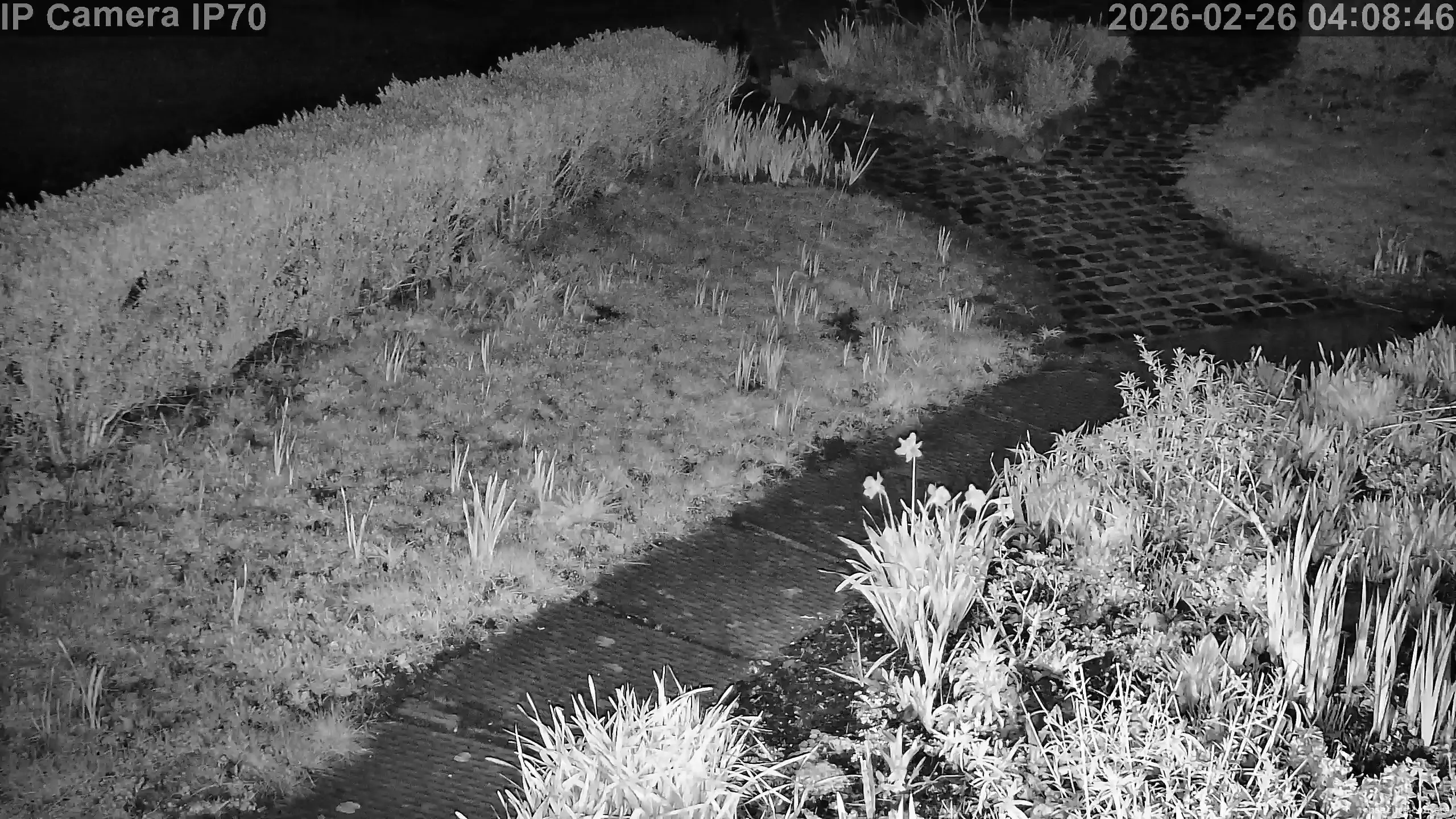 Capture from Feb 26, 2026 at 04:09 AM