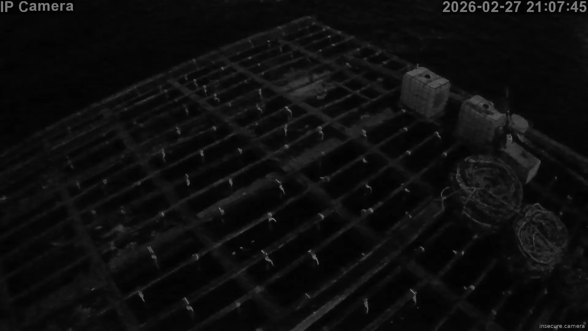 Capture from Feb 27, 2026 at 08:08 PM