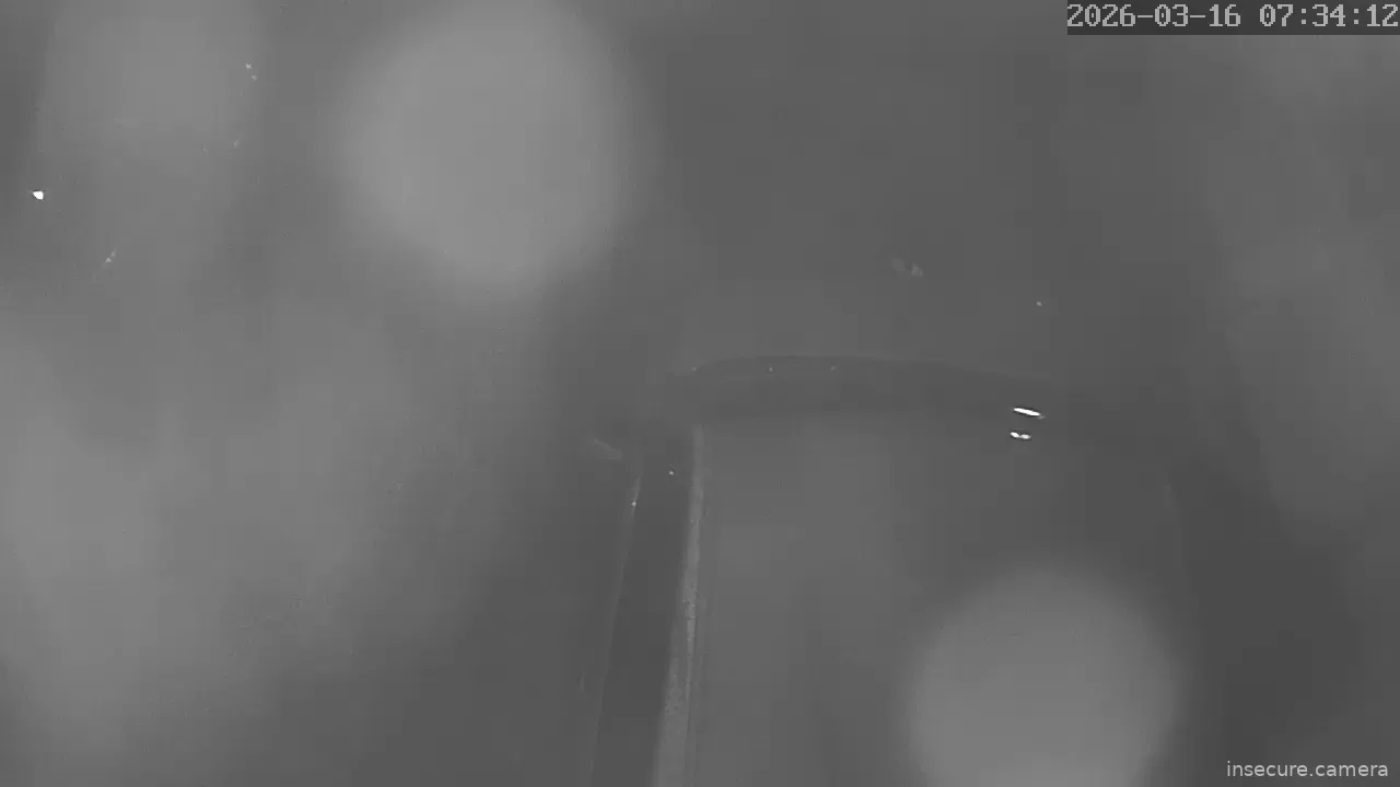 Camera in United Kingdom