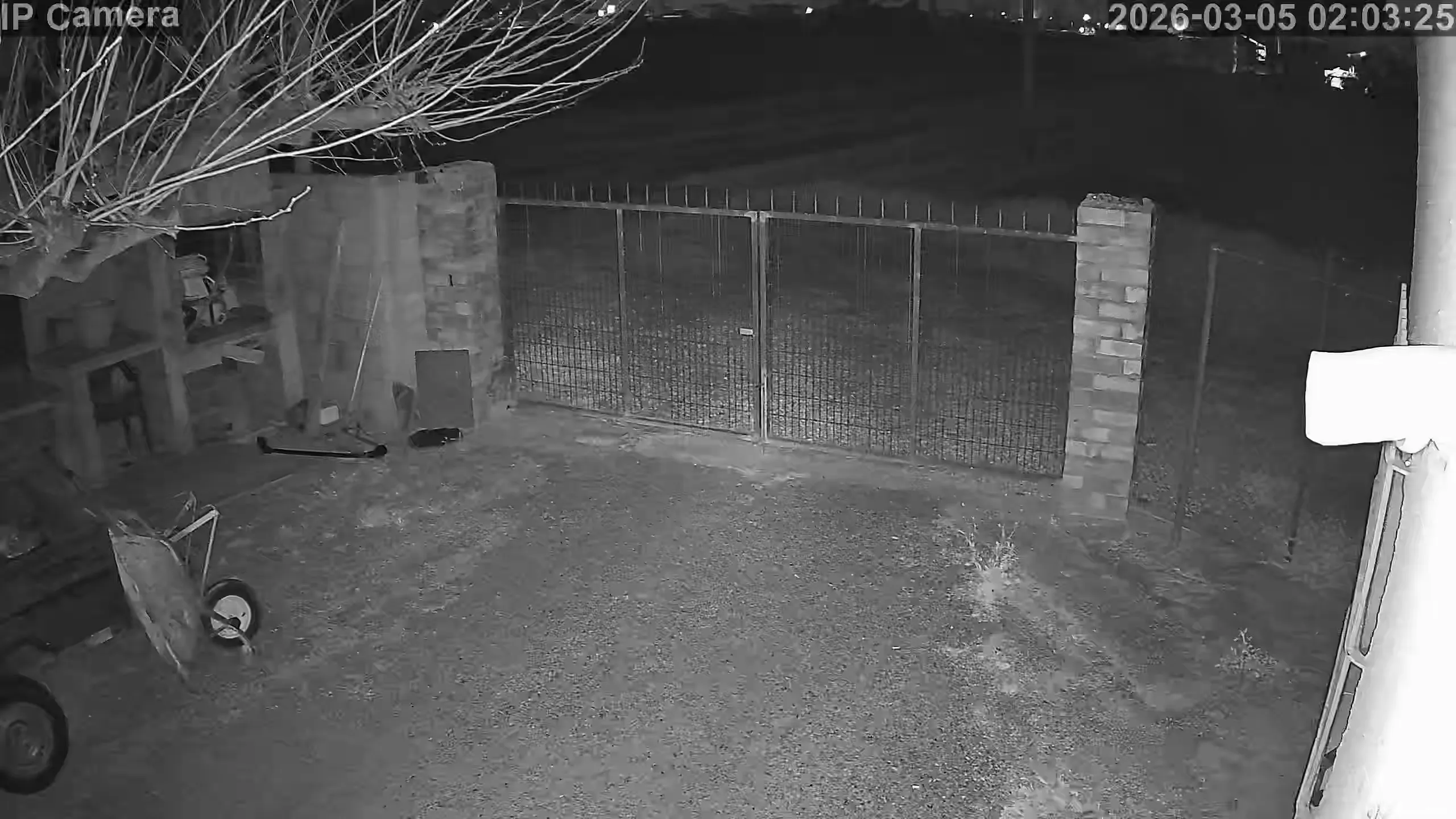 Capture from Mar 05, 2026 at 01:03 AM