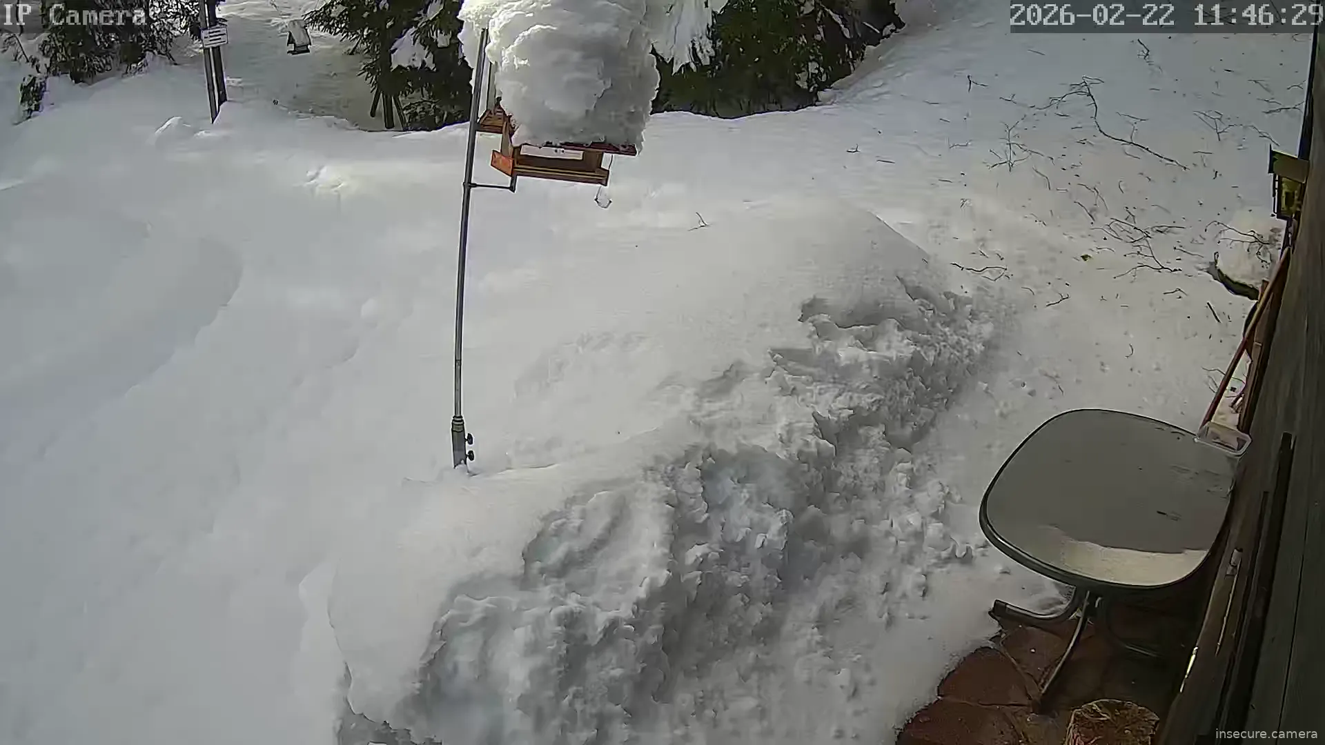 Capture from Feb 22, 2026 at 10:46 AM