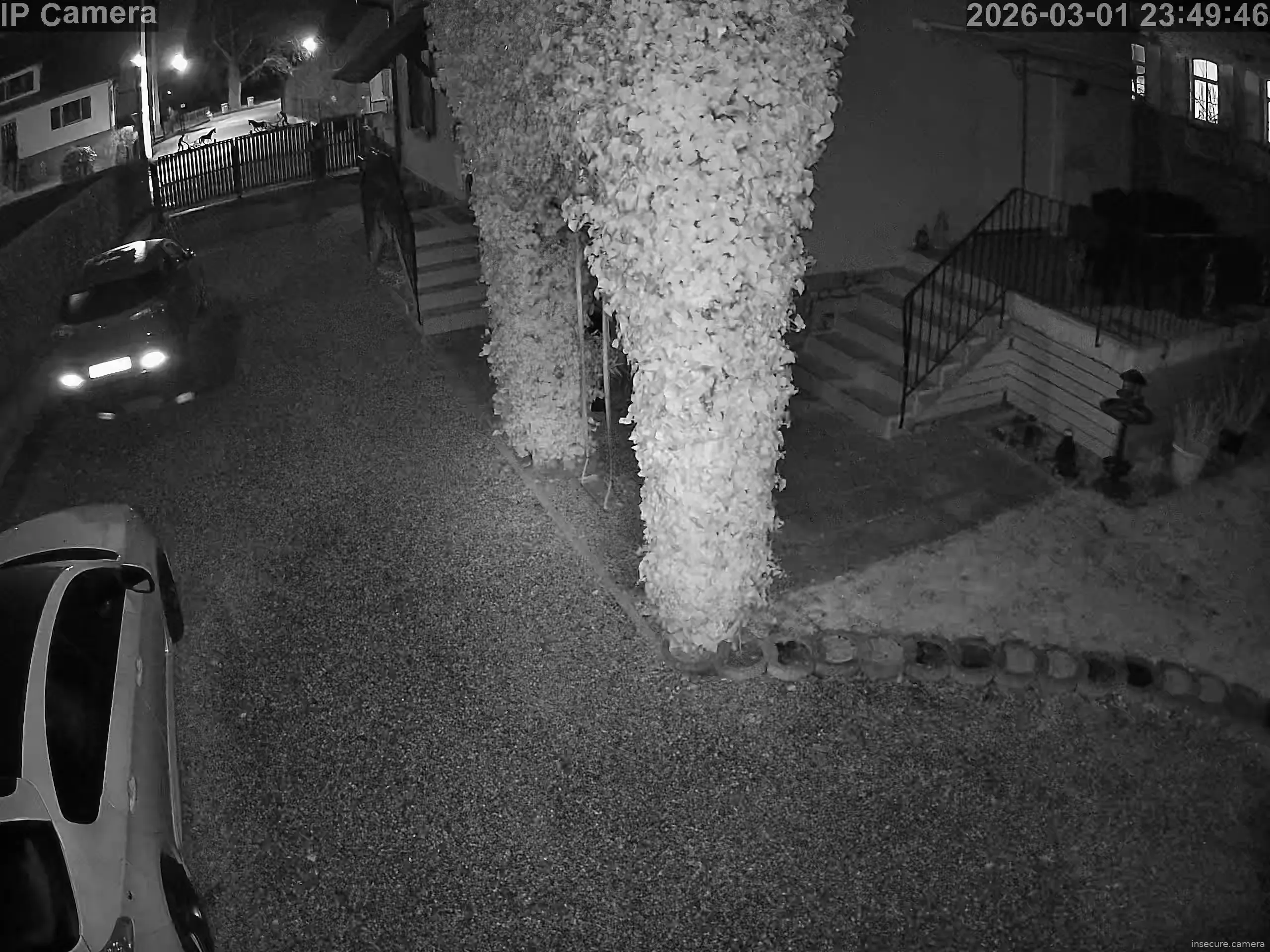 Capture from Mar 01, 2026 at 10:50 PM