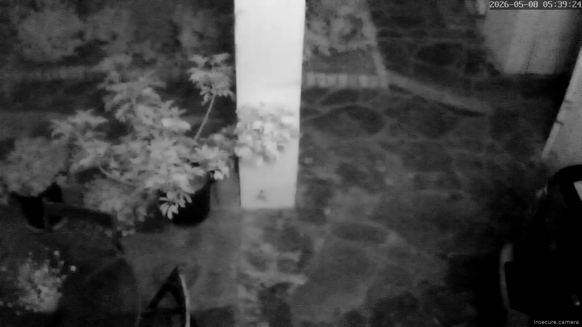 Capture from May 08, 2026 at 02:39 AM