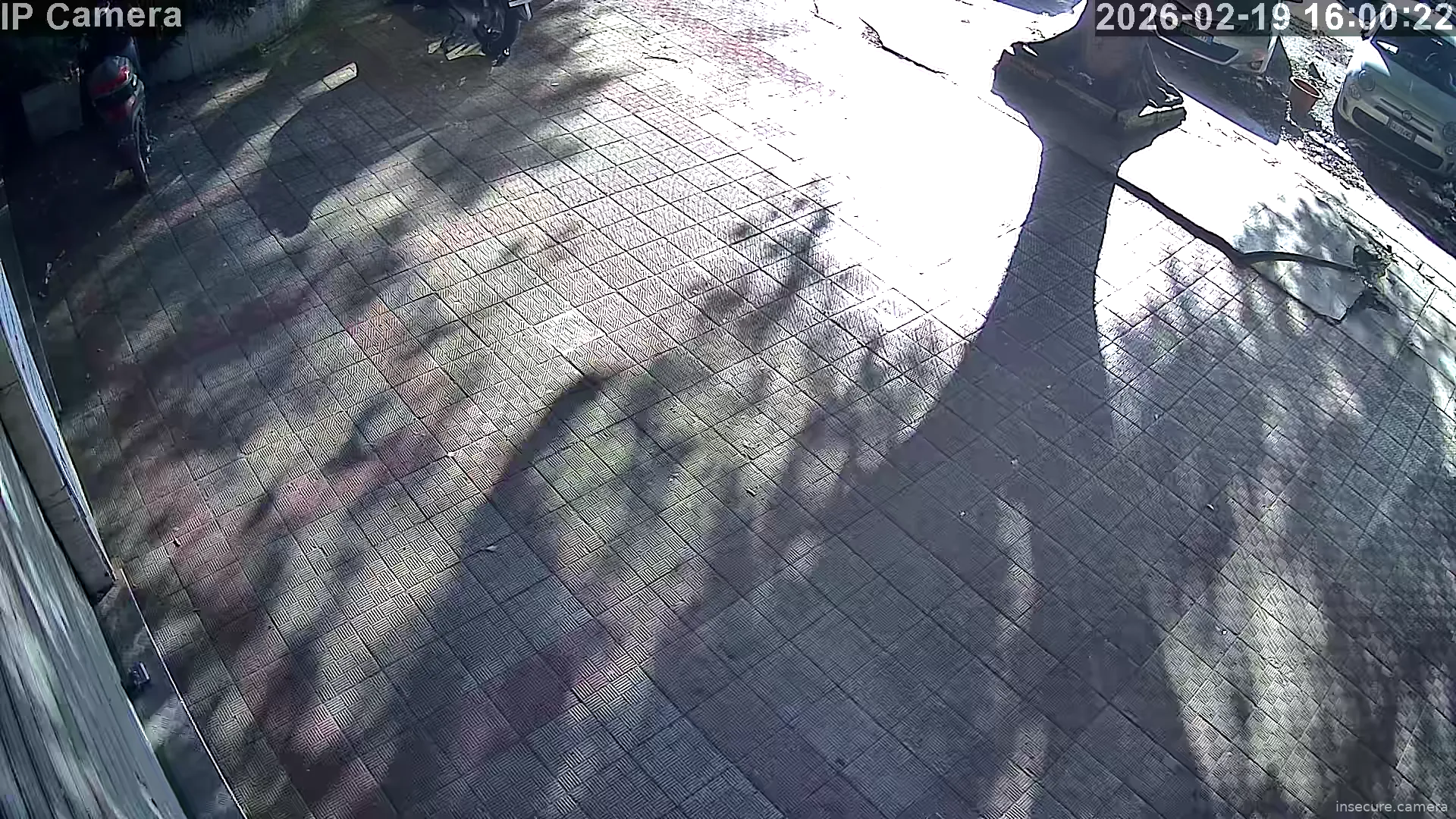 Capture from Feb 19, 2026 at 08:01 AM