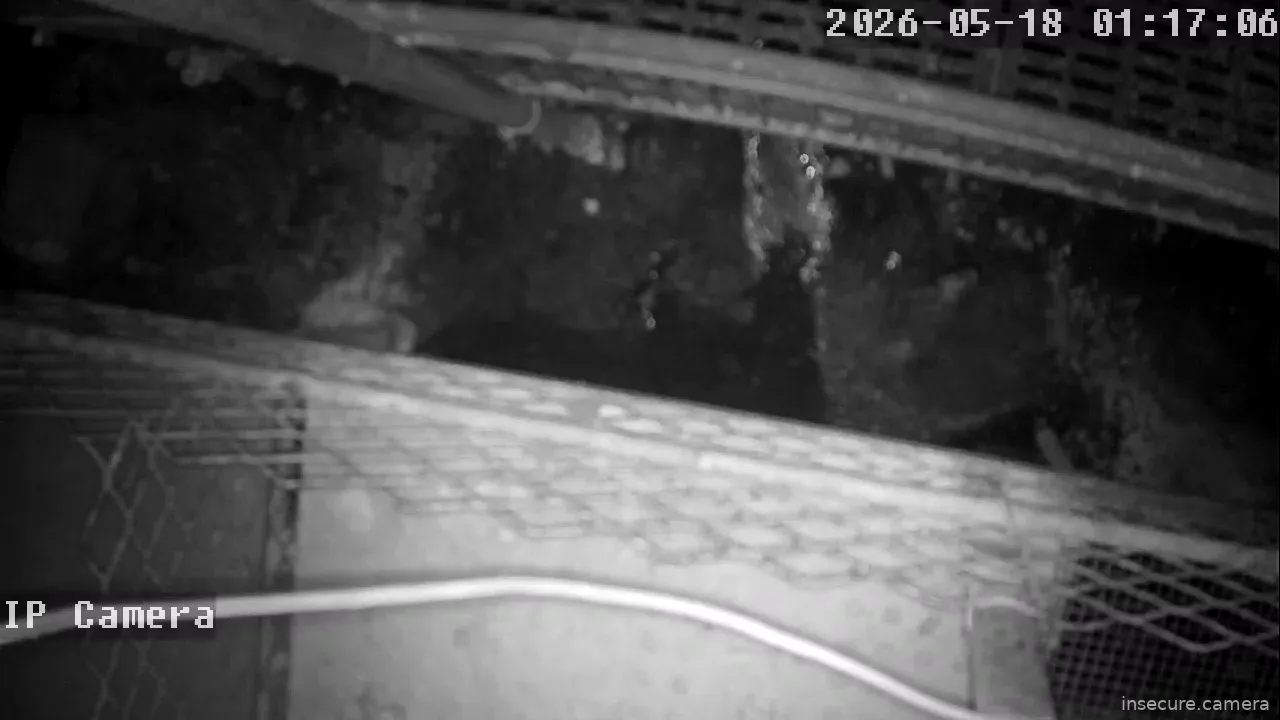 Capture from May 17, 2026 at 05:17 PM