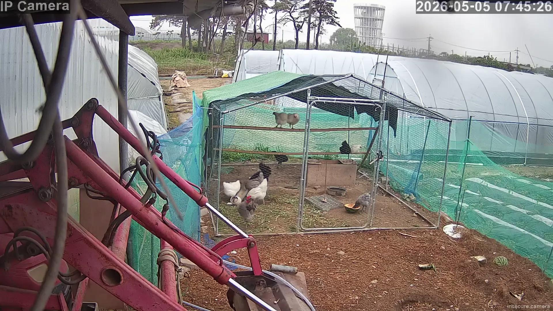 Camera in South Korea