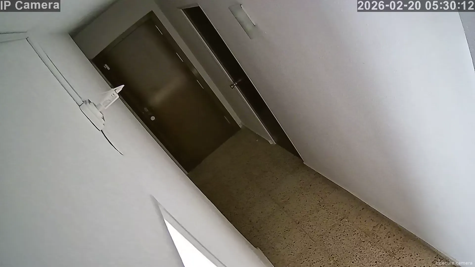 Capture from Feb 19, 2026 at 09:31 PM