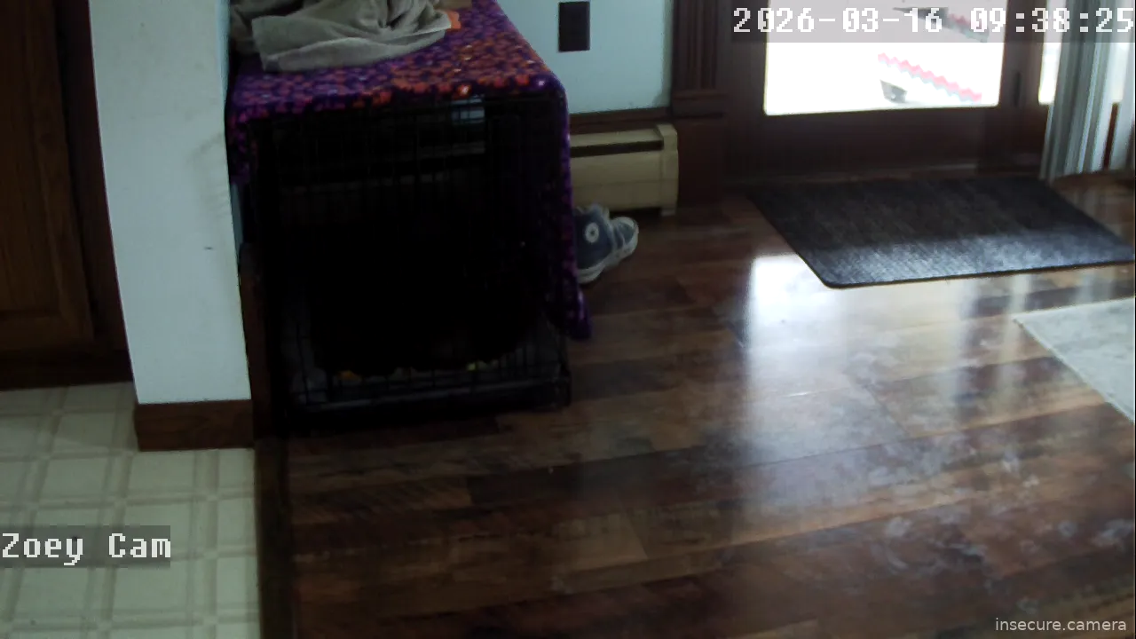 Camera in United States