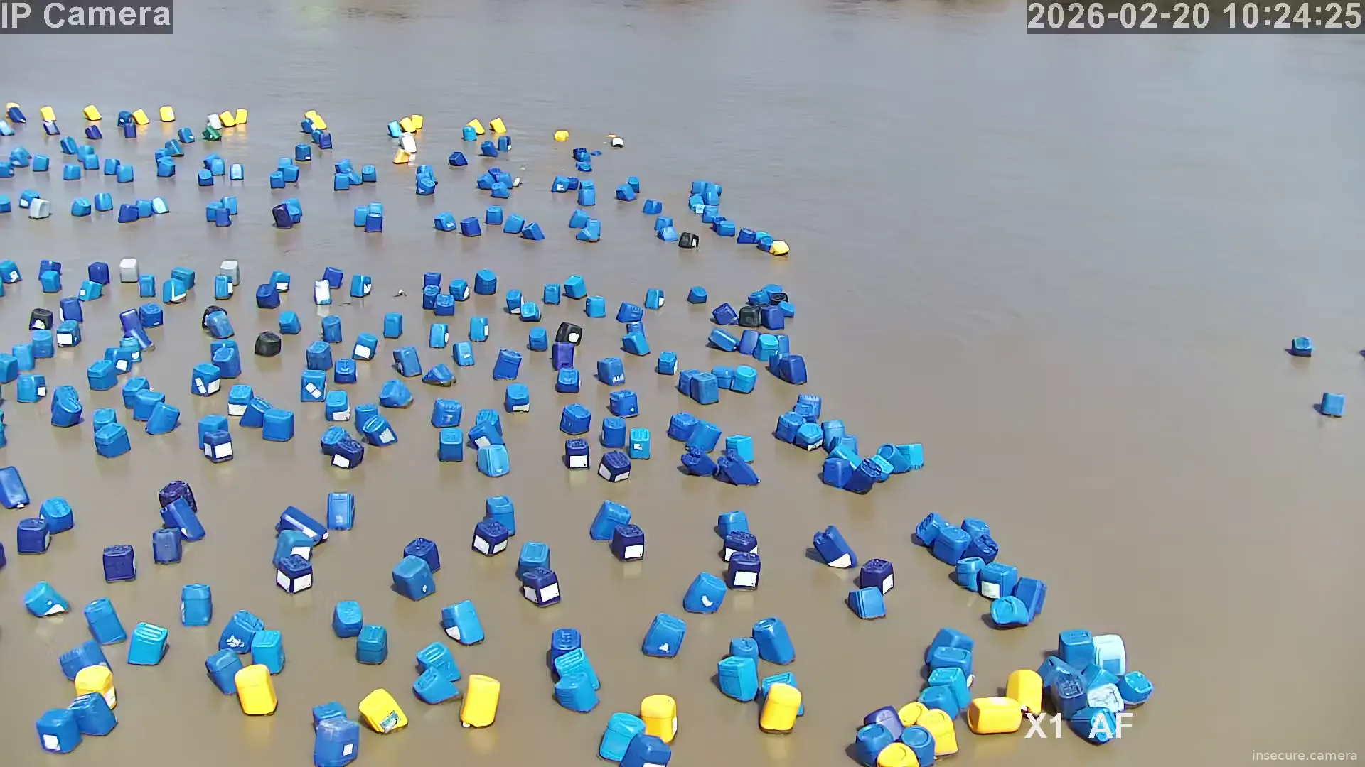 Capture from Feb 20, 2026 at 03:25 AM