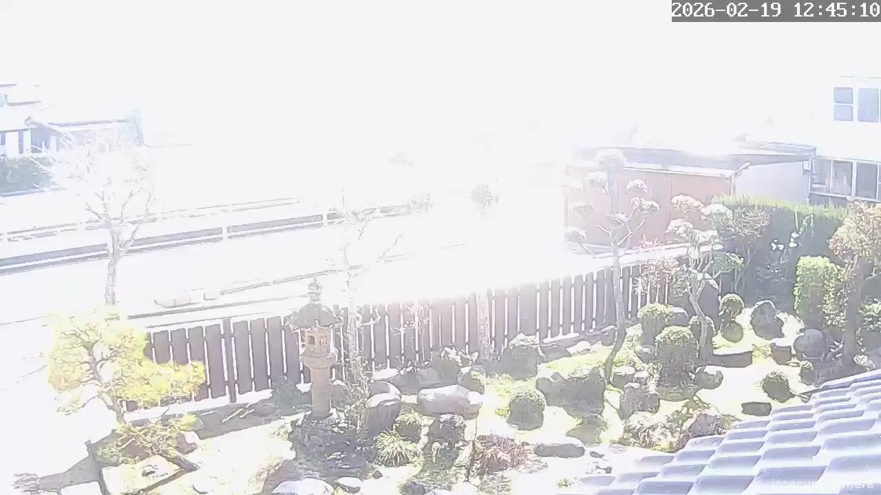 Capture from Feb 19, 2026 at 03:46 AM