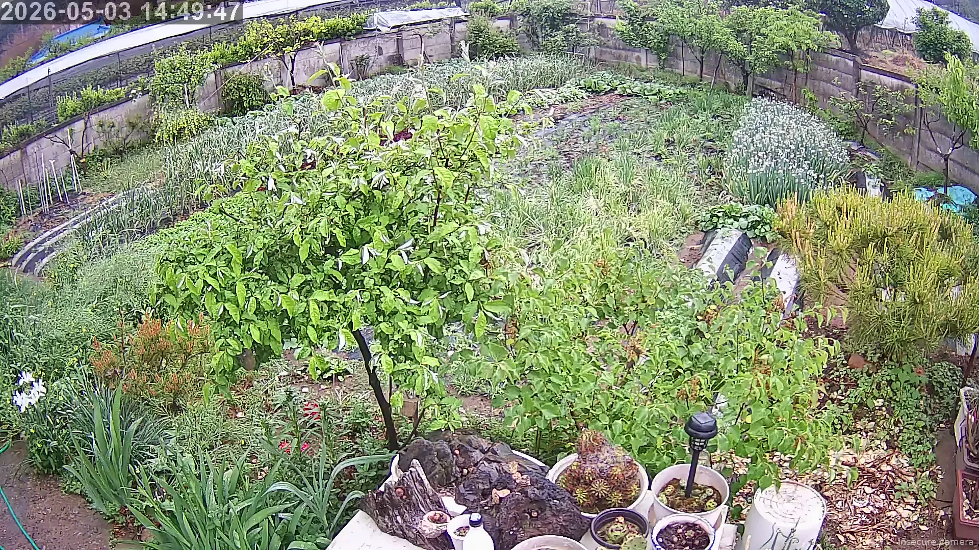 Capture from May 03, 2026 at 05:50 AM