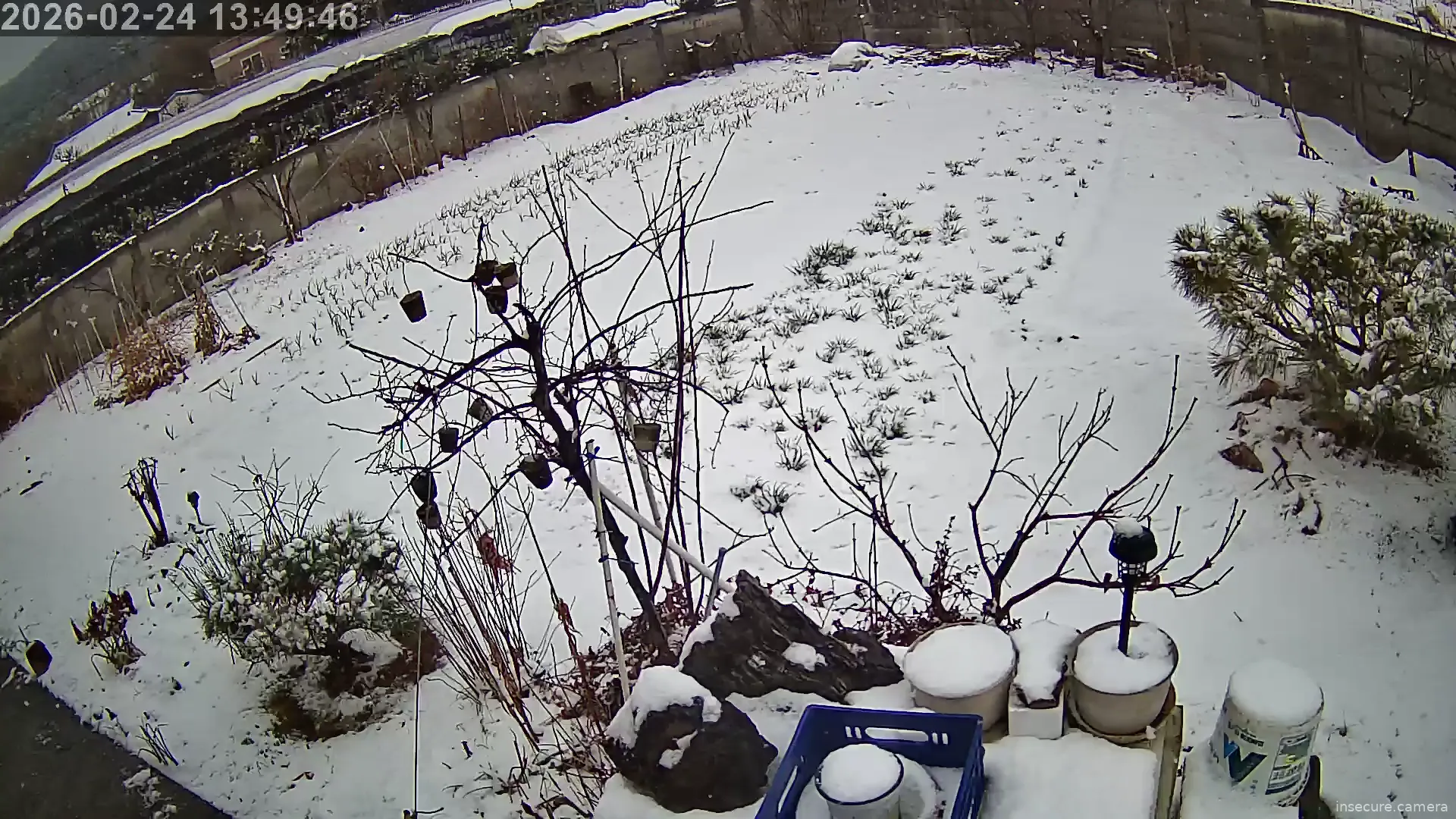 Capture from Feb 24, 2026 at 04:50 AM