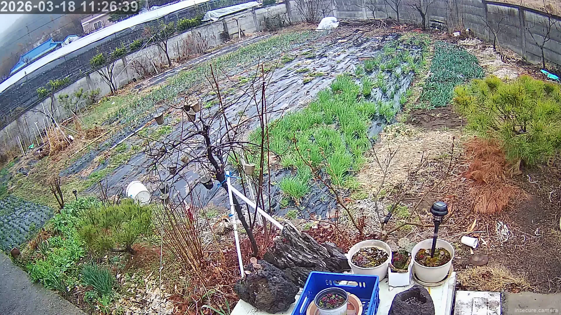 Camera in South Korea